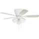 Wheeler 42.00 inch Indoor Ceiling Fan