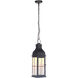 Vincent LED 7 inch Midnight Outdoor Pendant, Medium