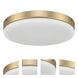 Mondo LED Satin Brass Light Kit