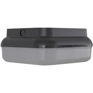 Resilience 2 Light 10 inch Textured Black Outdoor Flush