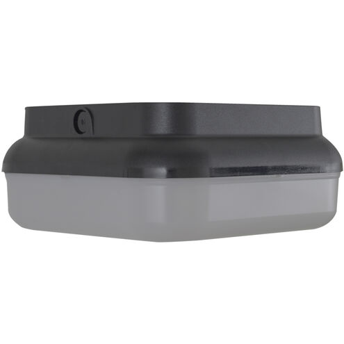 Resilience 2 Light 10 inch Textured Black Outdoor Flush