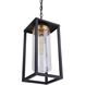 Neo 1 Light 8 inch Midnight / Satin Brass Outdoor Pendant