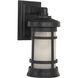 Resilience Lanterns 1 Light 13 inch Textured Black Outdoor Wall Lantern in Textured Matte Black