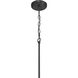 Pleated 1 Light 14 inch Flat Black Pendant Ceiling Light