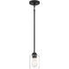 Neighborhood Bolden 1 Light 5 inch Flat Black Mini Pendant Ceiling Light in Clear Seeded, Neighborhood Collection