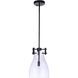 Chardonnay 1 Light 8.88 inch Flat Black Pendant Ceiling Light