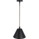 Blake 1 Light 11 inch Flat Black/Satin Brass Pendant Ceiling Light