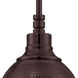 Timarron 1 Light 7.5 inch Aged Bronze Brushed Mini Pendant Ceiling Light