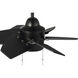 Propel II 24 inch Flat Black with Flat Black/Flat Black Blades Ceiling Fan
