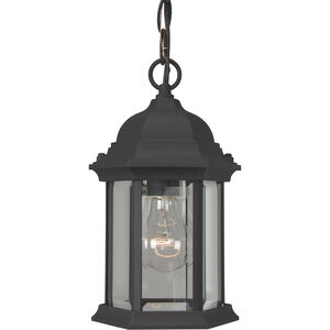 Hex Style 1 Light 7 inch Textured Black Outdoor Pendant in Textured Matte Black, Clear Beveled, Medium