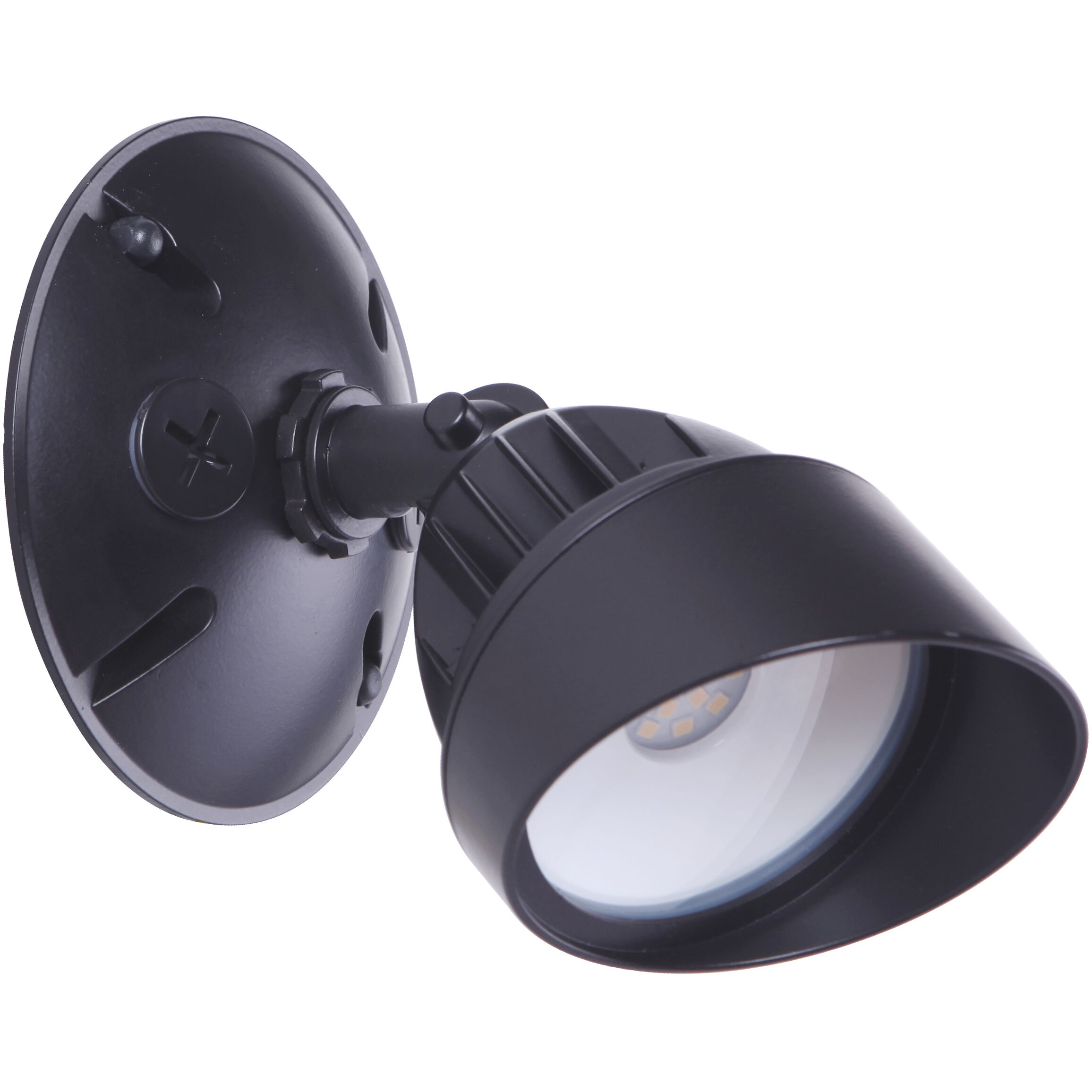 Bejamin LED Bronze Outdoor Flood