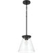 Connell 1 Light 10.00 inch Pendant