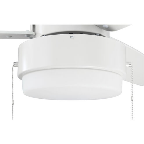 Intrepid 52 inch White with White/Ash Blades Ceiling Fan