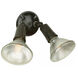 PAR Holders Outdoor Wall Mount in Black, Double
