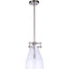 Chardonnay 1 Light 9 inch Brushed Polished Nickel Pendant Ceiling Light
