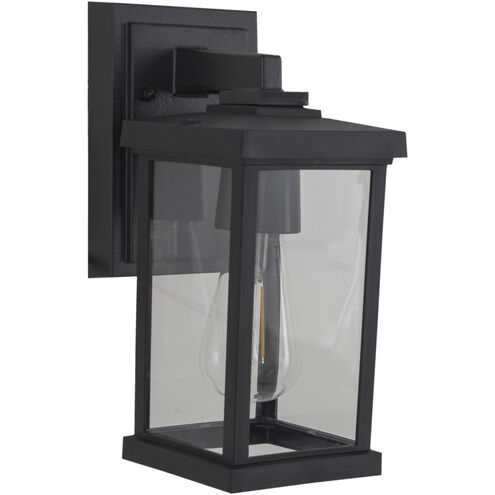 Resilience 1 Light 5 inch Textured Black Outdoor Lantern in Clear Glass