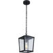 Olsen 1 Light 8 inch Midnight Outdoor Pendant