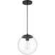 Gaze 1 Light 10 inch Flat Black Pendant Ceiling Light in Clear Glass