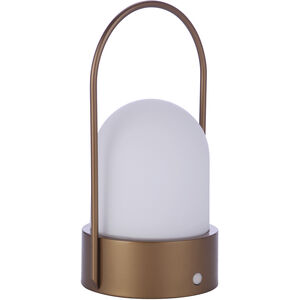 Rechargable Portable 10 inch 5.00 watt Painted Satin Brass Table Lamp Portable Light