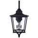 Tillman 3 Light 30.5 inch Dark Bronze Gilded Outdoor Wall Lantern