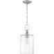 Neighborhood Dardyn 1 Light 7.5 inch Brushed Polished Nickel Mini Pendant Ceiling Light in Clear Glass