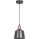 Bejamin 1 Light 7 inch Matte Black/Patina Aged Brass Mini Pendant Ceiling Light in Matte Black and Patina Aged Brass