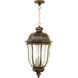 Harper 3 Light 12 inch Peruvian Bronze Outdoor Outdoor Pendant in Incandescent, Large