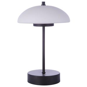 Rechargable Portable 11 inch 5.00 watt Flat Black Table Lamp Portable Light