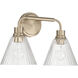 Pleated 2 Light 16.88 inch Premium Bronze Vanity Light Wall Light