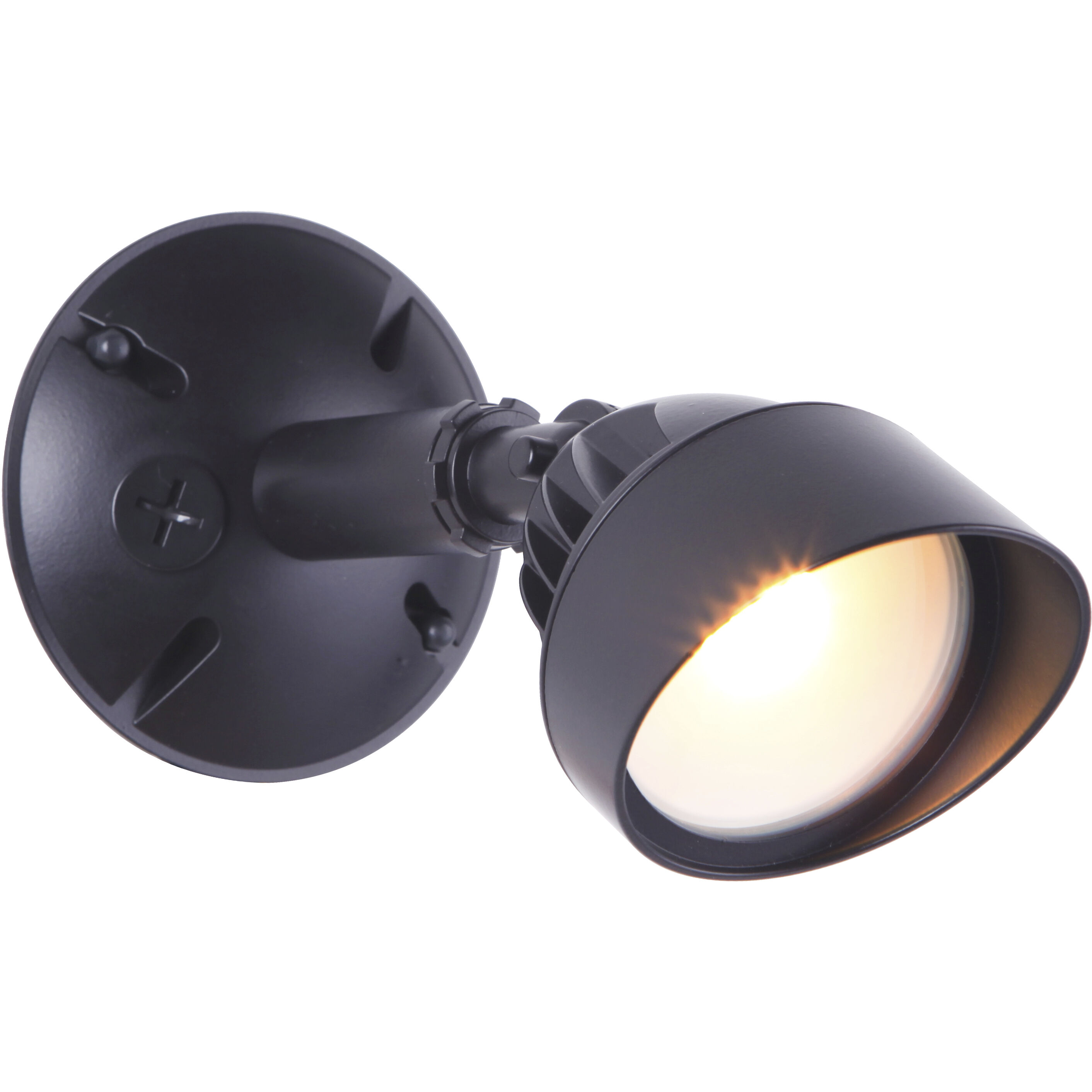 Bejamin LED Bronze Outdoor Flood