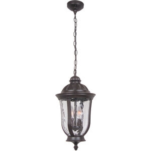 Frances 2 Light 10 inch Oiled Bronze Outdoor Outdoor Pendant, Medium