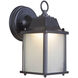 Coach Lights LED 9 inch Oiled Bronze Outdoor Outdoor Wall Mount