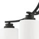 Neighborhood Bolden 4 Light 23 inch Flat Black Chandelier Ceiling Light in White Frosted Glass, Neighborhood Collection