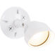 Bejamin LED White Outdoor Flood