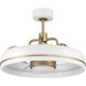 Taylor 20.00 inch Indoor Ceiling Fan