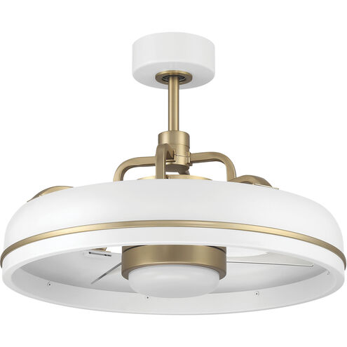 Taylor 20 inch White/Satin Brass with Clear Acrylic Blades Ceiling Fan (Blades Included)