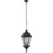 Chadwick 3 Light 11 inch Oiled Bronze Gilded Outdoor Pendant, Large