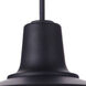 Briscoe 1 Light 14.96 inch Midnight Outdoor Pendant