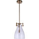 Chardonnay 1 Light 9 inch Satin Brass Pendant Ceiling Light