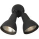 Bullets and Floods 2 Light 10.82 inch Outdoor Wall Light