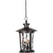 Summerhays 3 Light 12 inch Oiled Bronze Gilded Outdoor Pendant, Large
