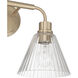 Pleated 2 Light 16.88 inch Premium Bronze Vanity Light Wall Light