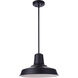 Briscoe 1 Light 14.96 inch Midnight Outdoor Pendant
