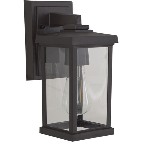 Resilience 1 Light 5 inch Bronze Outdoor Lantern in Clear Glass