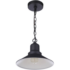 Singleton 1 Light 11 inch Midnight Outdoor Pendant