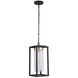 Neo 1 Light 8 inch Midnight / Satin Brass Outdoor Pendant