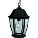 Bent Glass 1 Light 10 inch Textured Black Outdoor Pendant in Textured Matte Black, Small