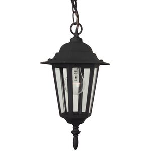 Straight Glass 1 Light 8 inch Textured Black Outdoor Pendant in Textured Matte Black, Small