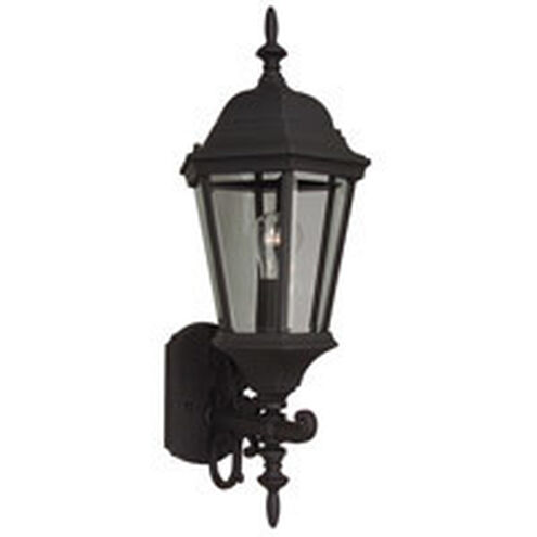 Straight Glass 1 Light 24 inch Textured Black Outdoor Wall Mount in Textured Matte Black, Medium