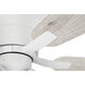 Wheeler 52 inch White with White/Washed Oak Blades Fan